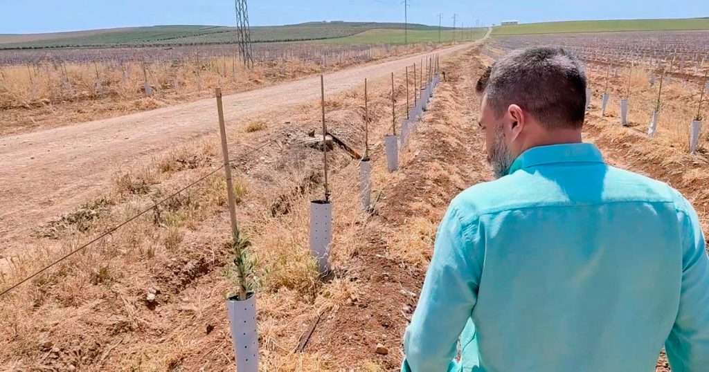 proyectos de riego fincas agricolas sevilla